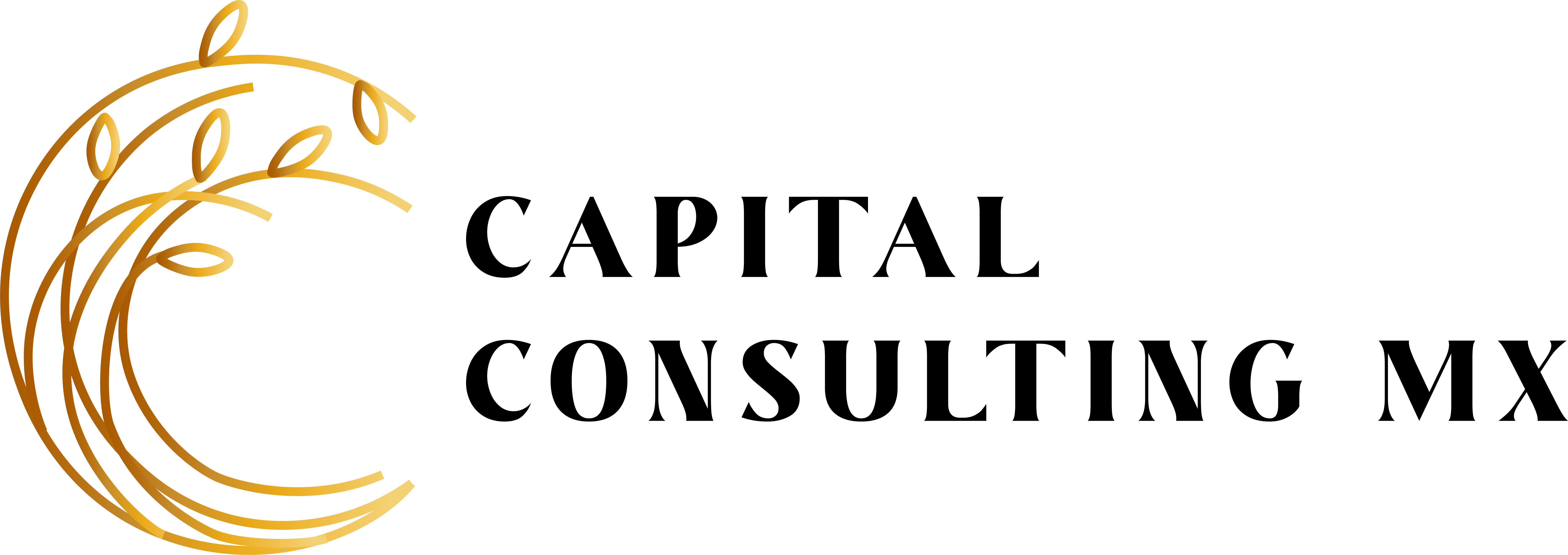 LogoCapitalConsulting
